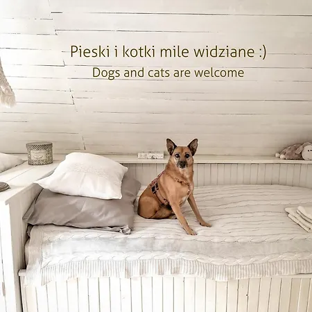Cozy In The Woods - Przytulny W Lesie *