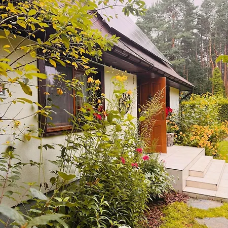 Cozy In The Woods - Przytulny W Lesie *