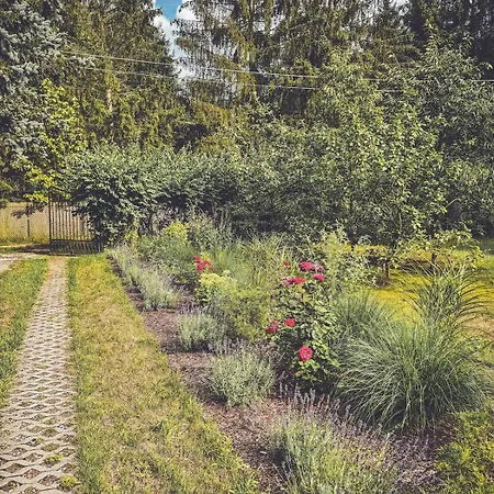 Cozy In The Woods - Przytulny W Lesie Holiday home *